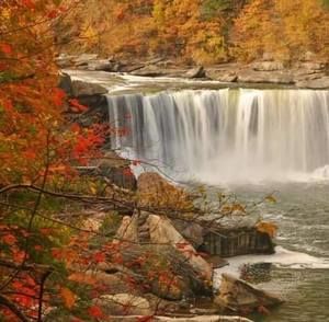 Meet your Posher, Carole